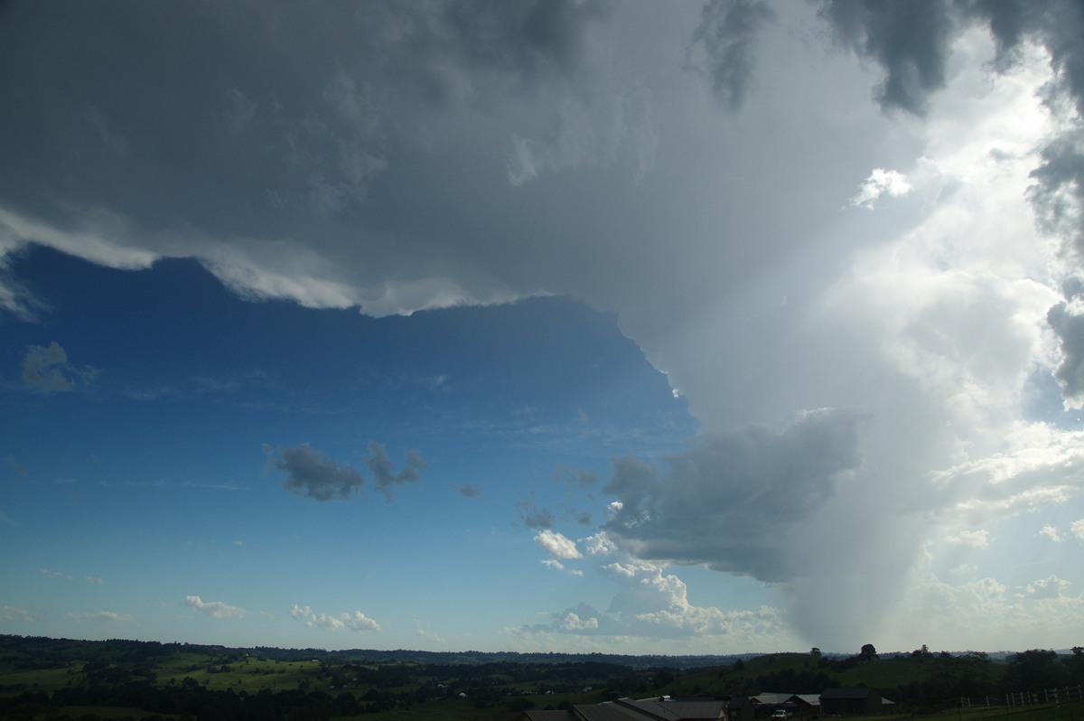 thunderstorm cumulonimbus_incus : McLeans Ridges, NSW   30 December 2008