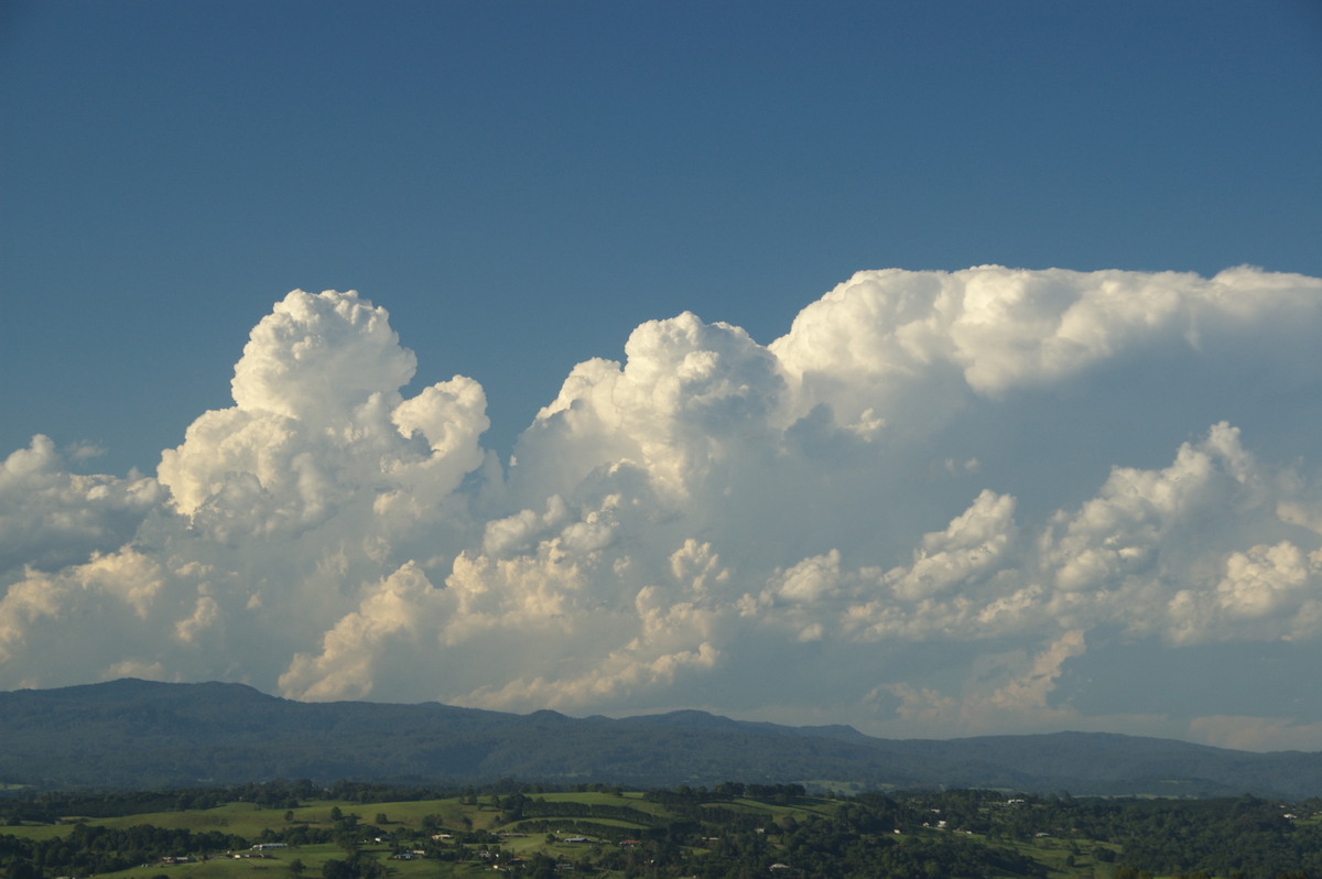 thunderstorm cumulonimbus_calvus : McLeans Ridges, NSW   30 December 2008