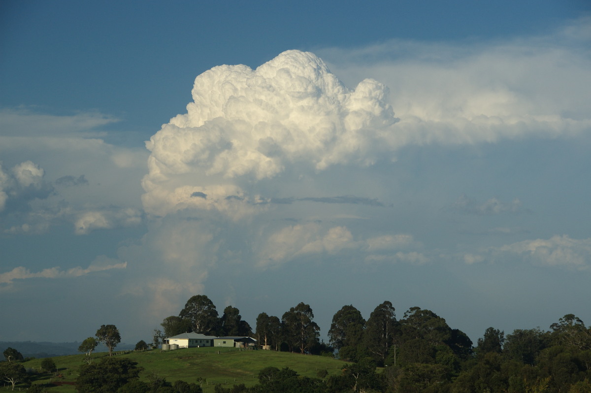 cumulonimbus supercell_thunderstorm : McLeans Ridges, NSW   30 December 2008