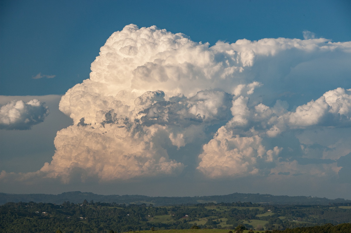 thunderstorm cumulonimbus_incus : McLeans Ridges, NSW   30 December 2008