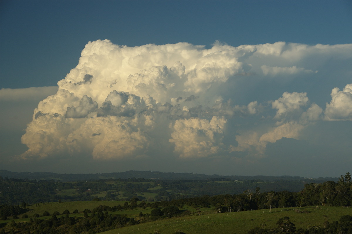 cumulonimbus supercell_thunderstorm : McLeans Ridges, NSW   30 December 2008