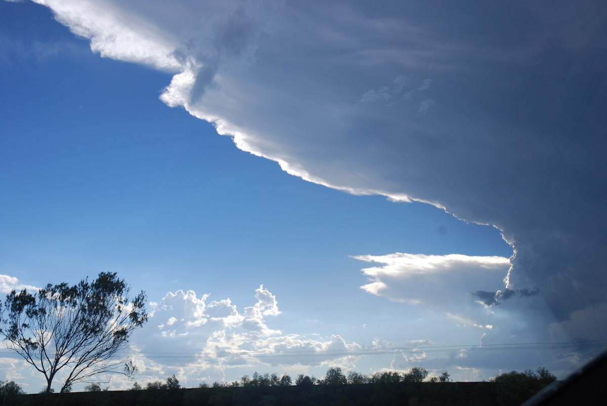 anvil thunderstorm_anvils : Sunshine Coast, QLD   30 December 2008