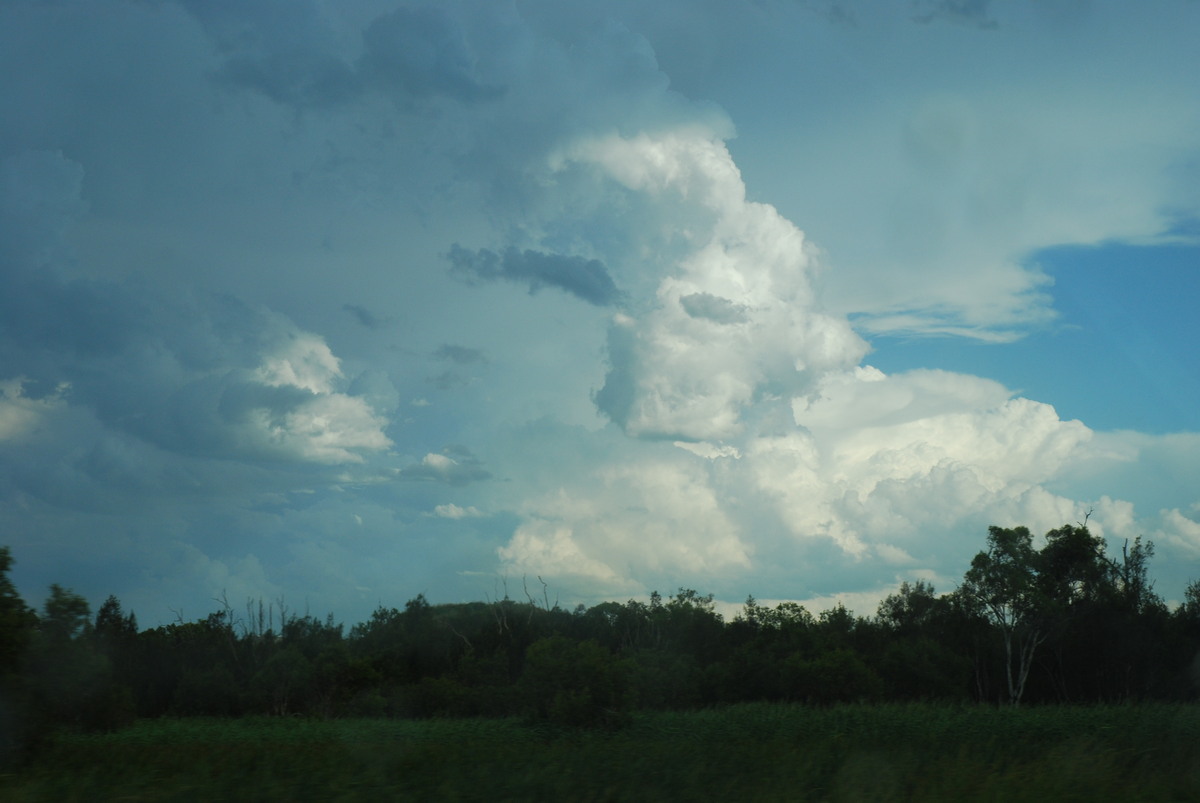 updraft thunderstorm_updrafts : Sunshine Coast, QLD   30 December 2008