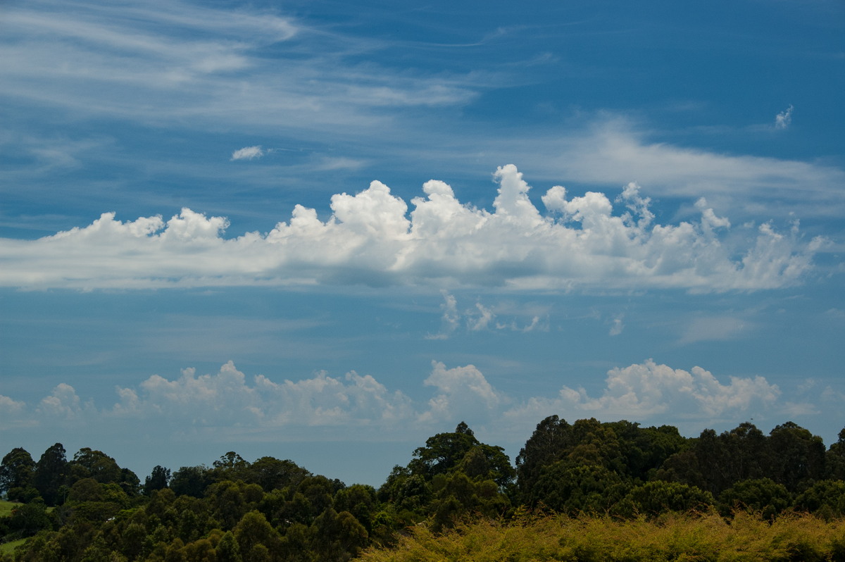 cirrus cirrus_cloud : McLeans Ridges, NSW   1 January 2009