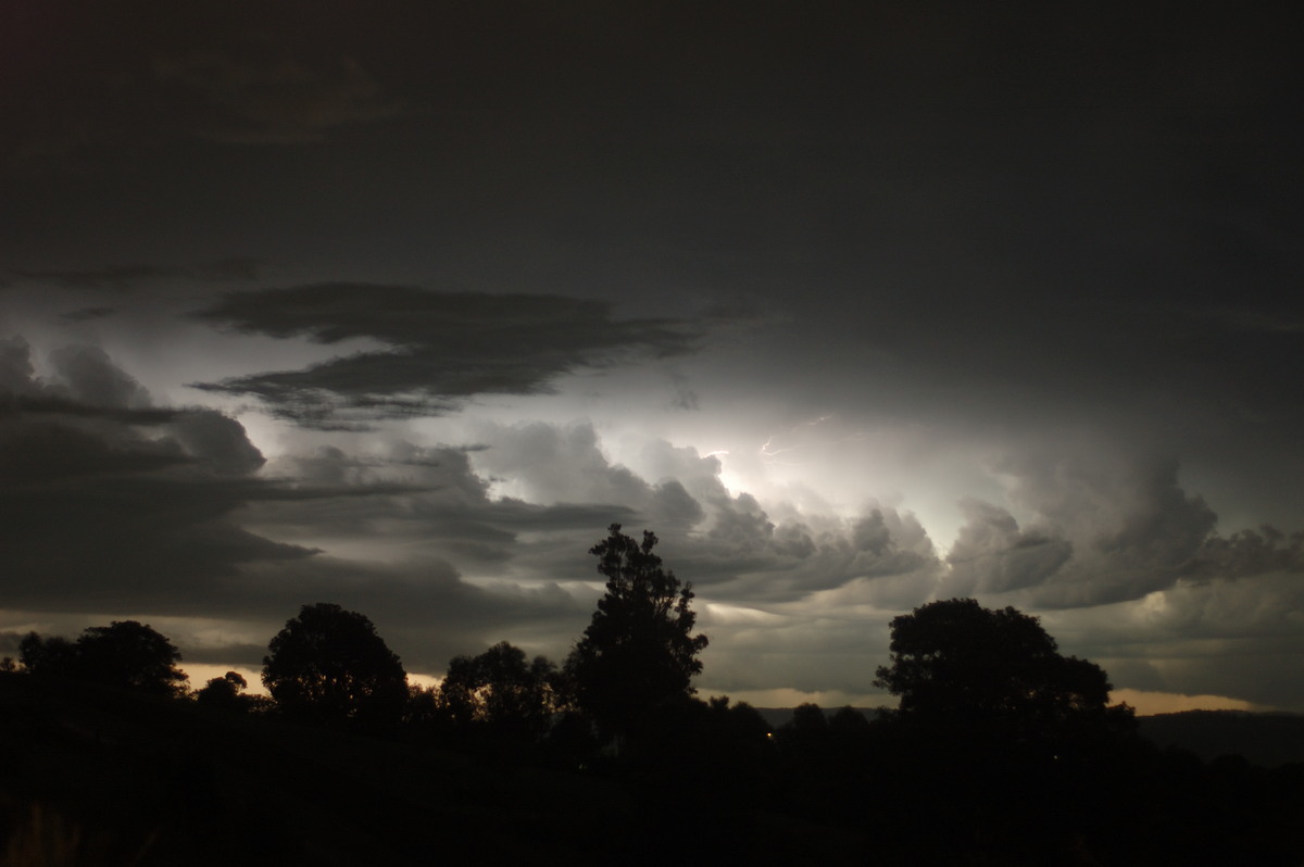 lightning lightning_bolts : McLeans Ridges, NSW   1 January 2009