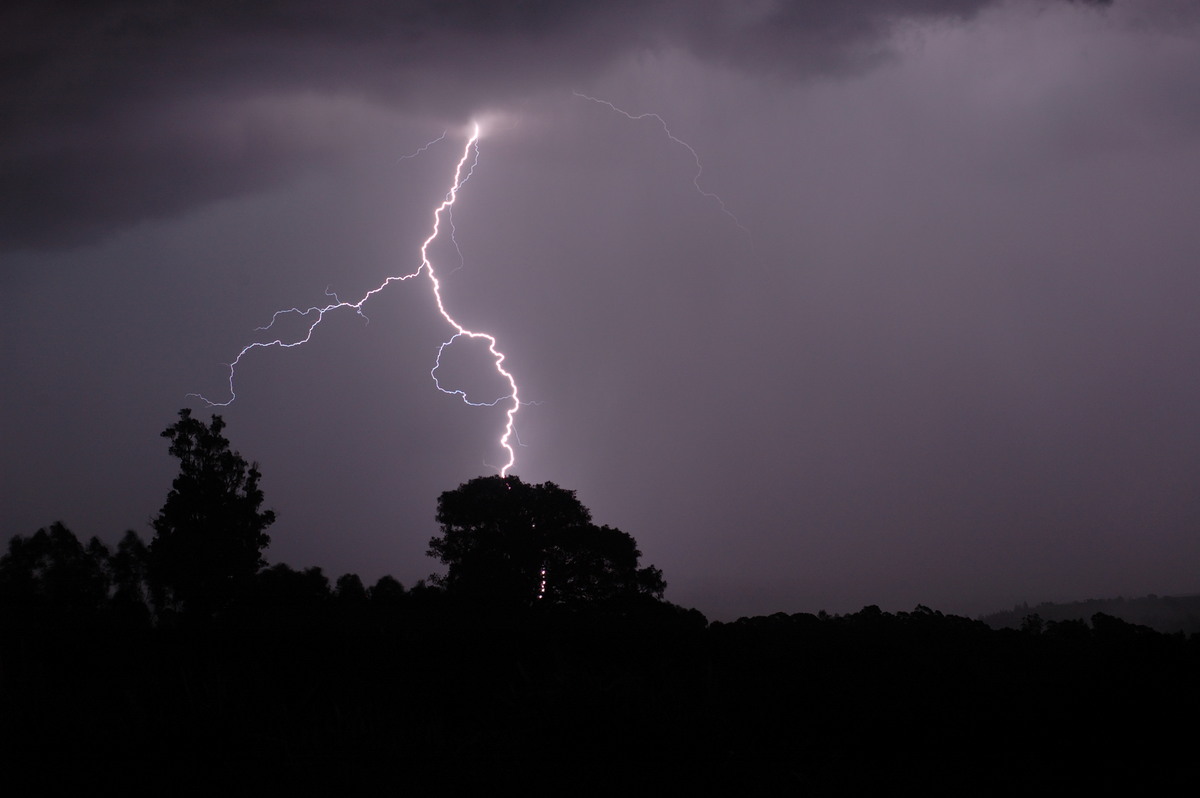 lightning lightning_bolts : McLeans Ridges, NSW   1 January 2009