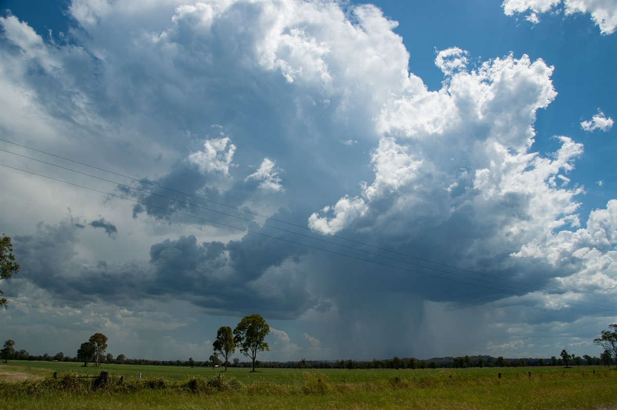 thunderstorm cumulonimbus_incus : Shannon Brook, NSW   16 January 2009