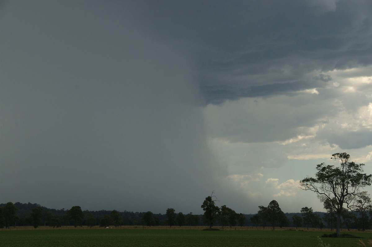 microburst micro_burst : Shannon Brook, NSW   16 January 2009