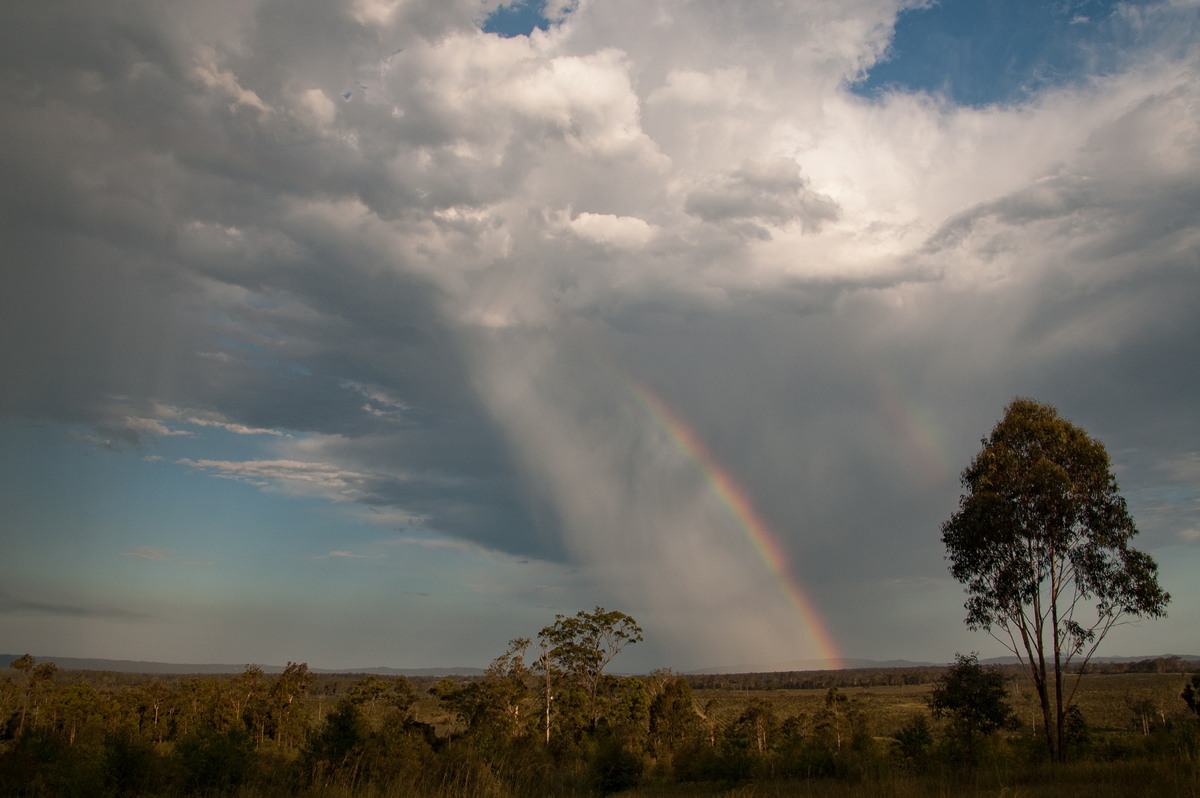 raincascade precipitation_cascade : near Lawrence, NSW   16 January 2009