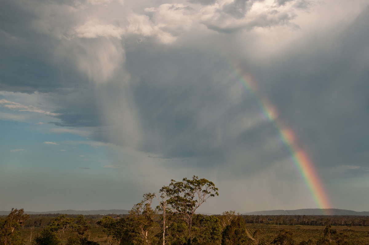 favourites michael_bath : near Lawrence, NSW   16 January 2009