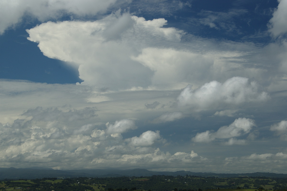 thunderstorm cumulonimbus_incus : McLeans Ridges, NSW   23 January 2009