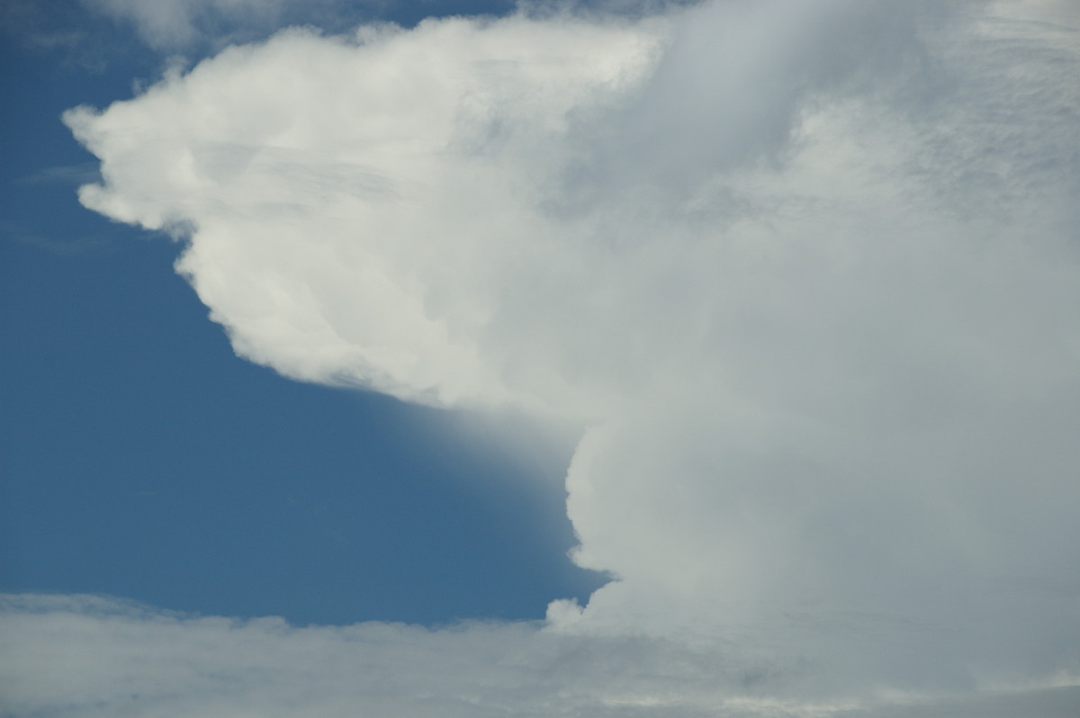 updraft thunderstorm_updrafts : McLeans Ridges, NSW   23 January 2009