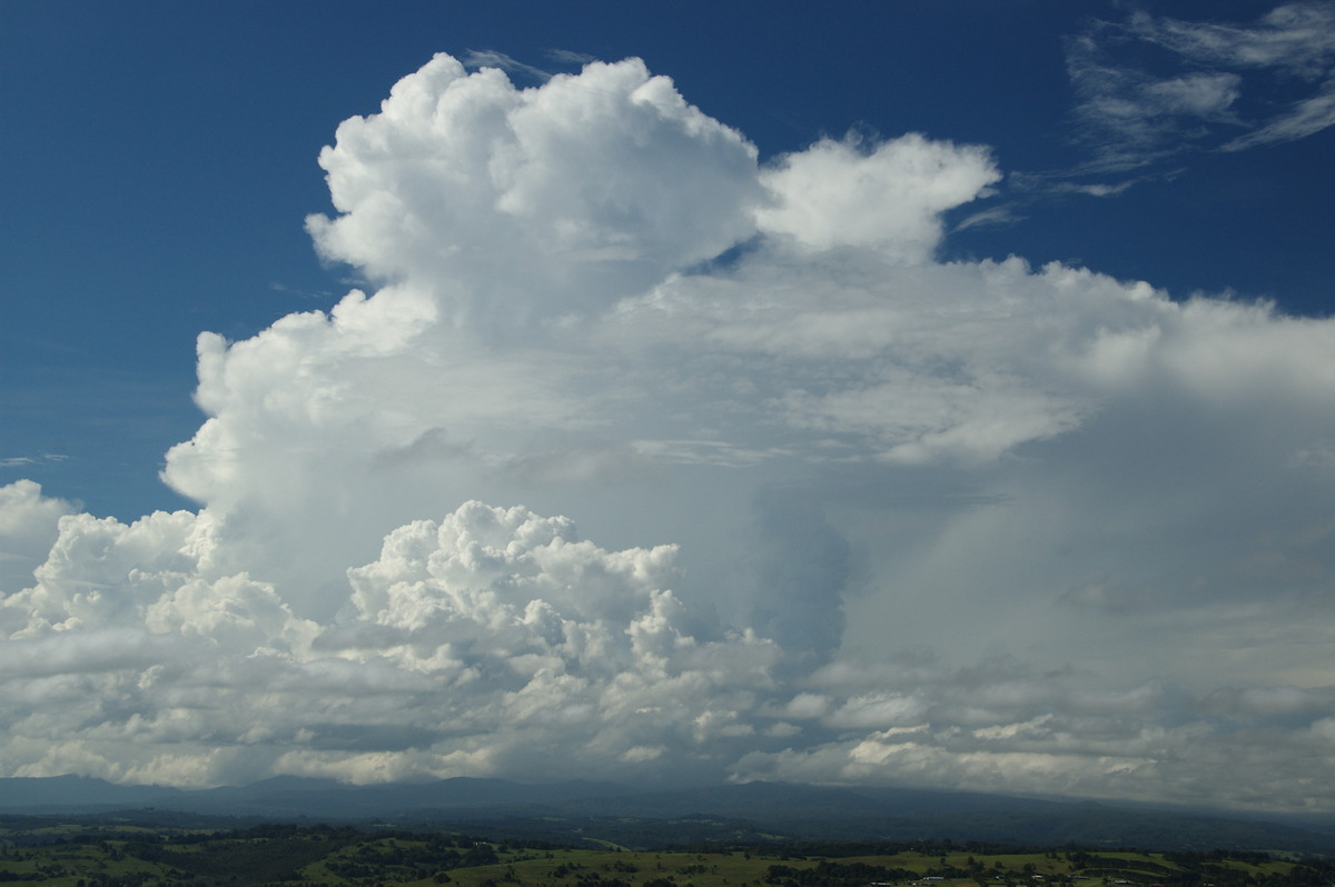 thunderstorm cumulonimbus_incus : McLeans Ridges, NSW   23 January 2009