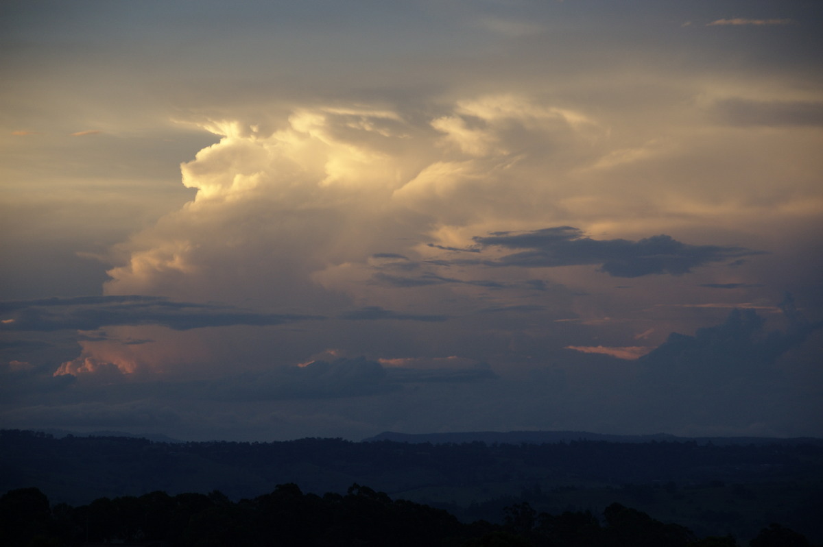 sunset sunset_pictures : McLeans Ridges, NSW   23 January 2009