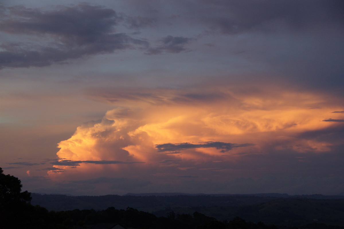 sunset sunset_pictures : McLeans Ridges, NSW   23 January 2009