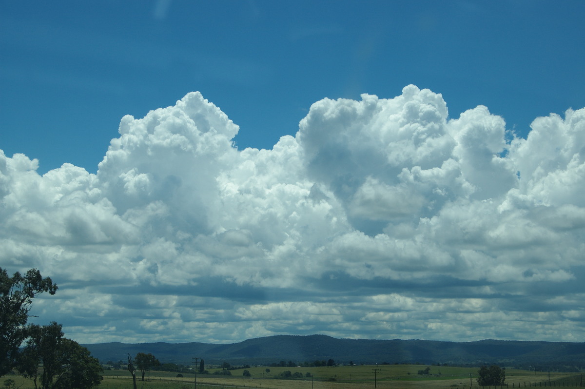 cumulus congestus : Tenterfield, NSW   24 January 2009