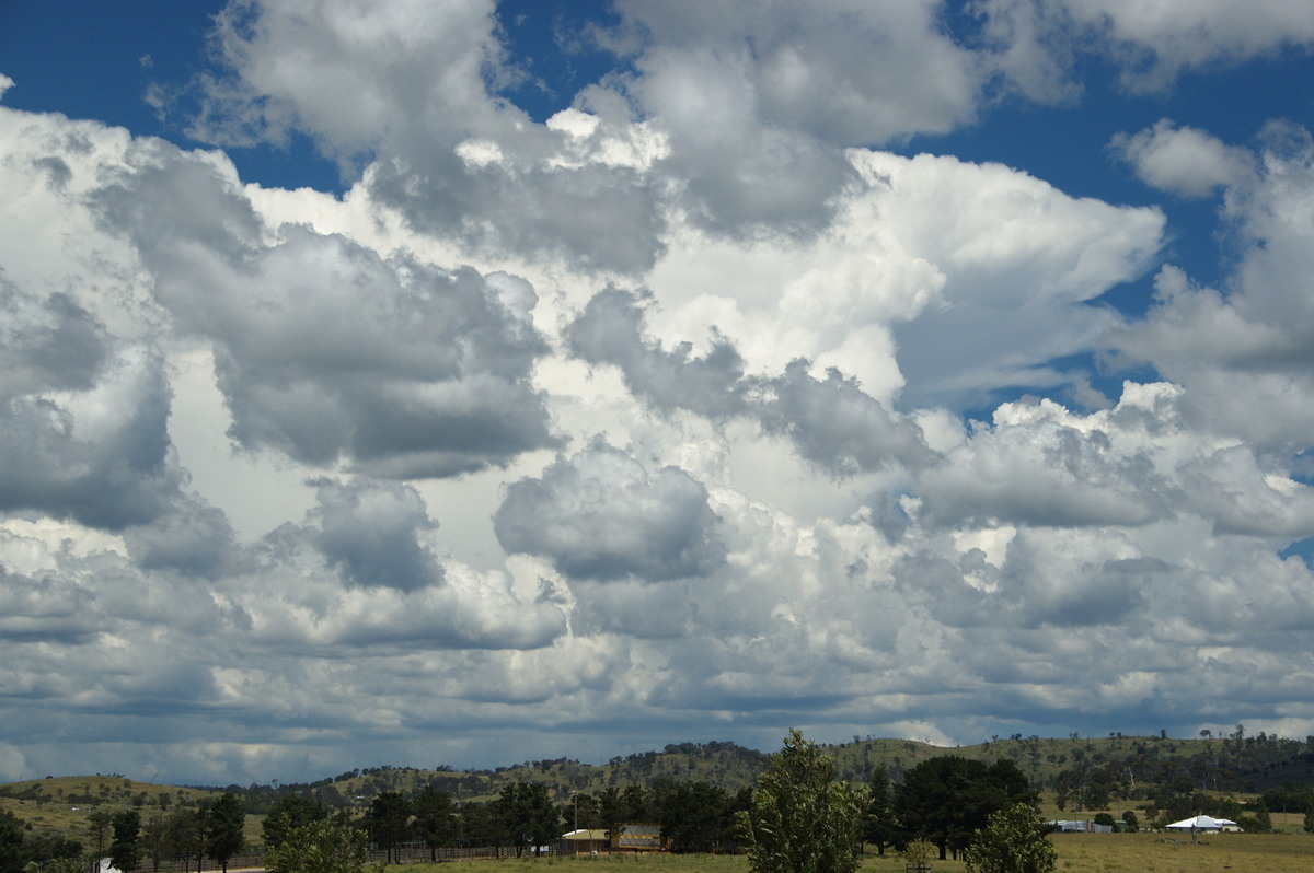 thunderstorm cumulonimbus_incus : Tenterfield, NSW   24 January 2009