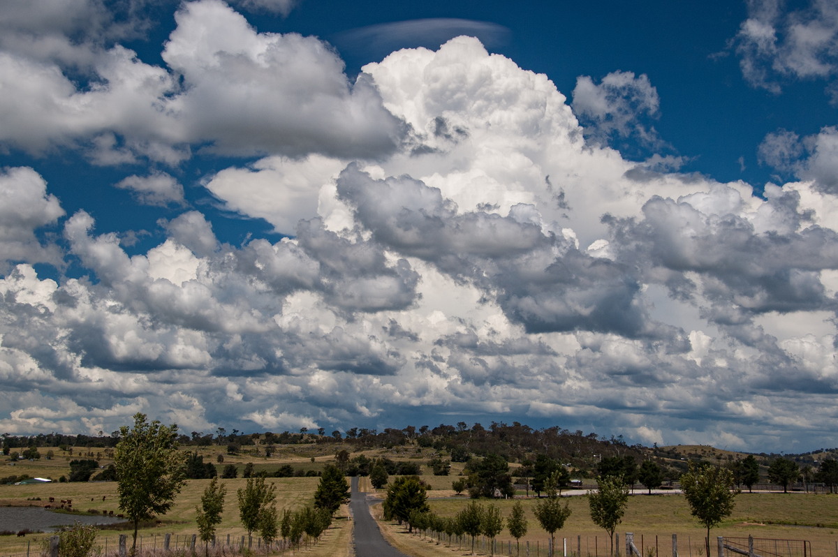 thunderstorm cumulonimbus_incus : Tenterfield, NSW   24 January 2009