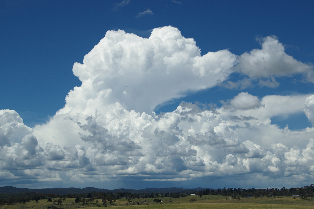 thunderstorm cumulonimbus_incus : Tenterfield, NSW   24 January 2009