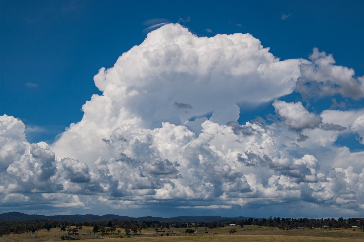 pileus pileus_cap_cloud : Tenterfield, NSW   24 January 2009