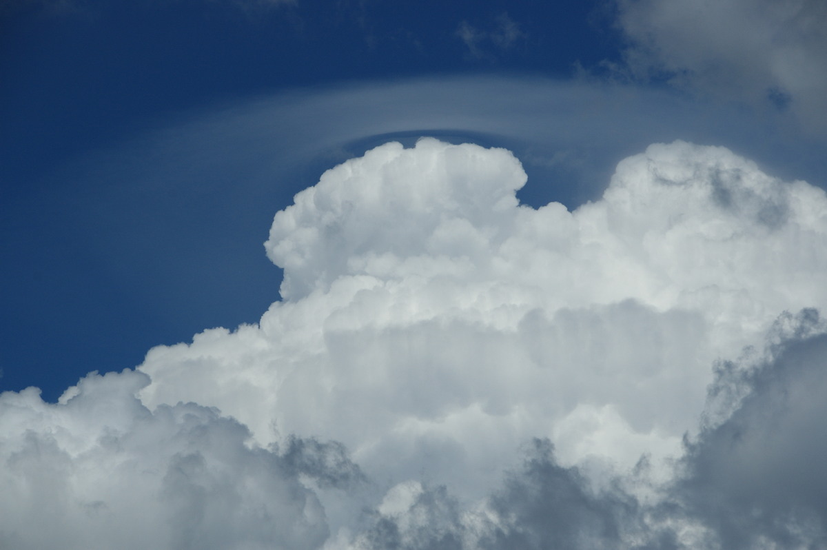 pileus pileus_cap_cloud : Tenterfield, NSW   24 January 2009