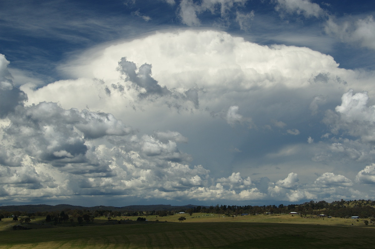 thunderstorm cumulonimbus_incus : Tenterfield, NSW   24 January 2009