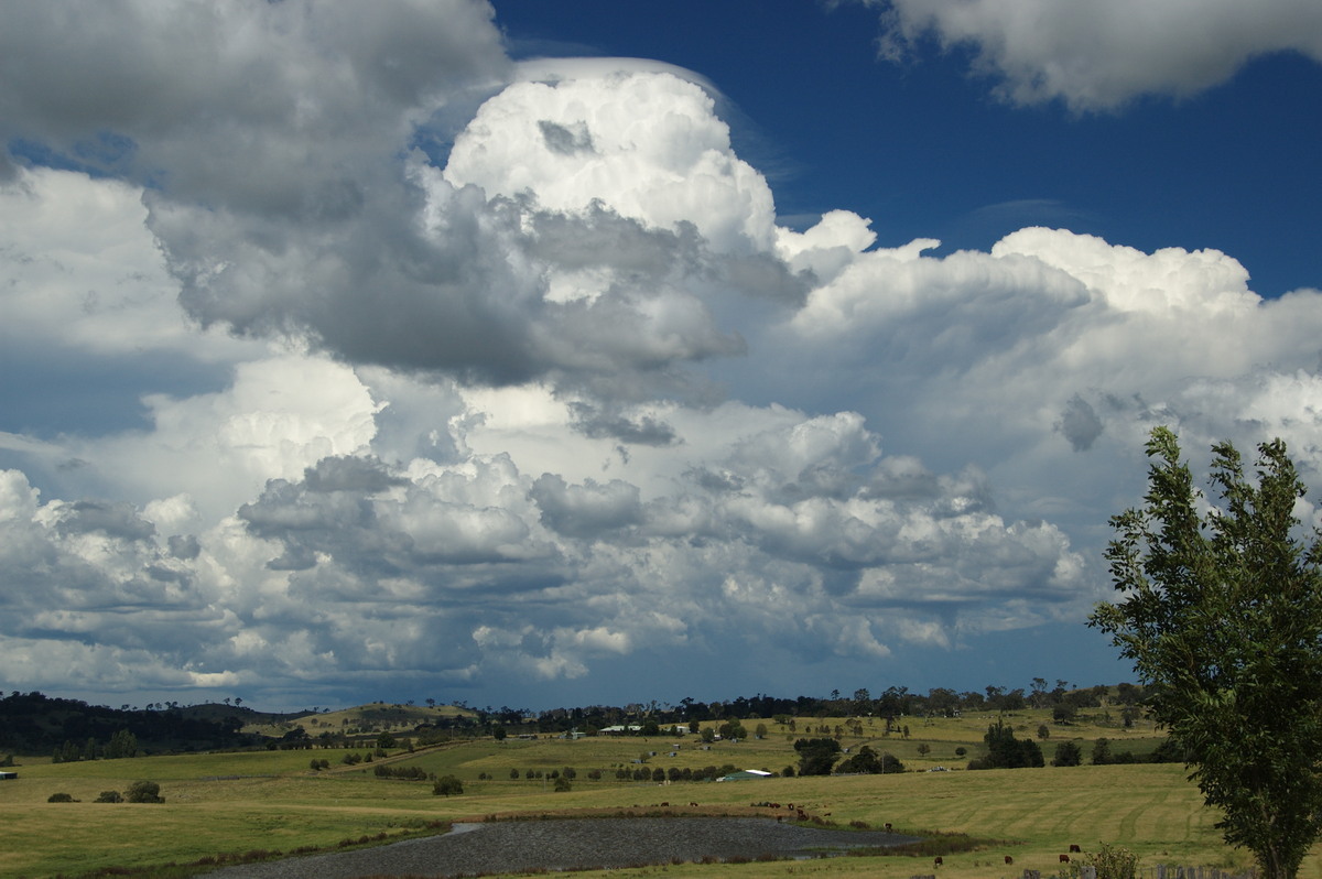 pileus pileus_cap_cloud : Tenterfield, NSW   24 January 2009