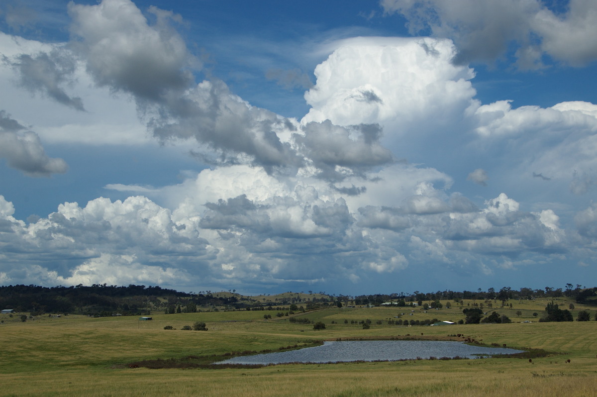 pileus pileus_cap_cloud : Tenterfield, NSW   24 January 2009