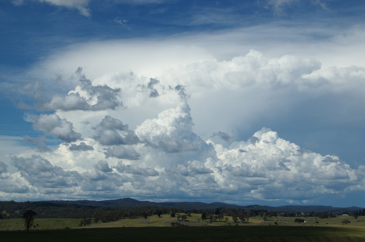 thunderstorm cumulonimbus_incus : Tenterfield, NSW   24 January 2009