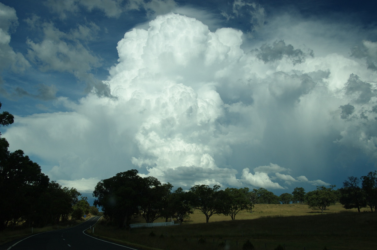 thunderstorm cumulonimbus_incus : near Warwick, QLD   24 January 2009