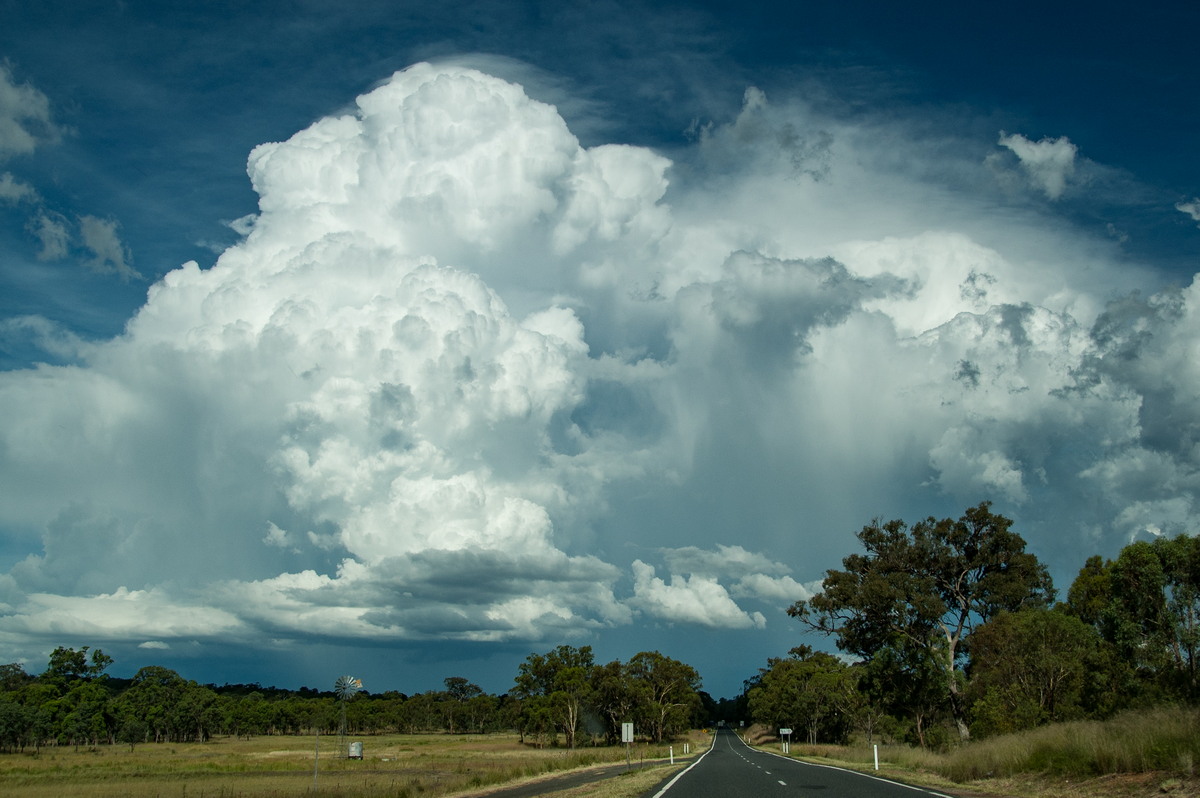 favourites michael_bath : near Warwick, QLD   24 January 2009