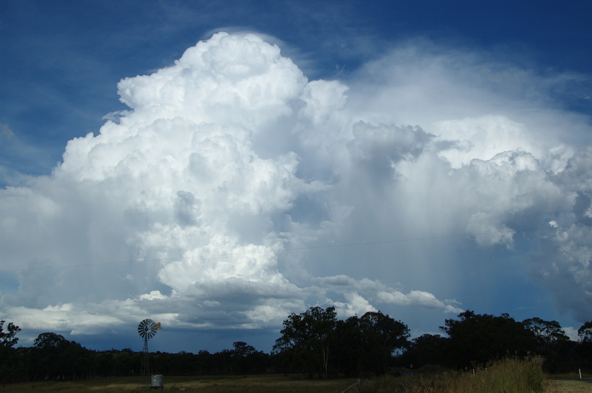 thunderstorm cumulonimbus_incus : near Warwick, QLD   24 January 2009