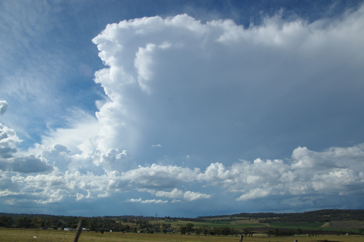 thunderstorm cumulonimbus_incus : near Warwick, QLD   24 January 2009