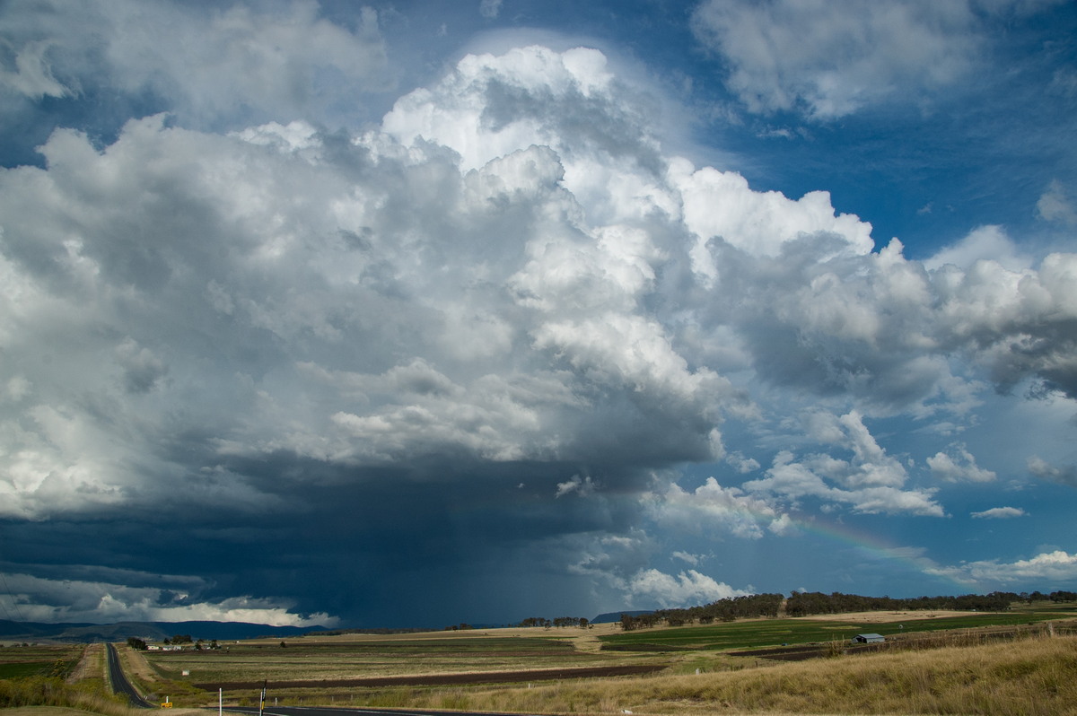 thunderstorm cumulonimbus_calvus : near Warwick, QLD   24 January 2009