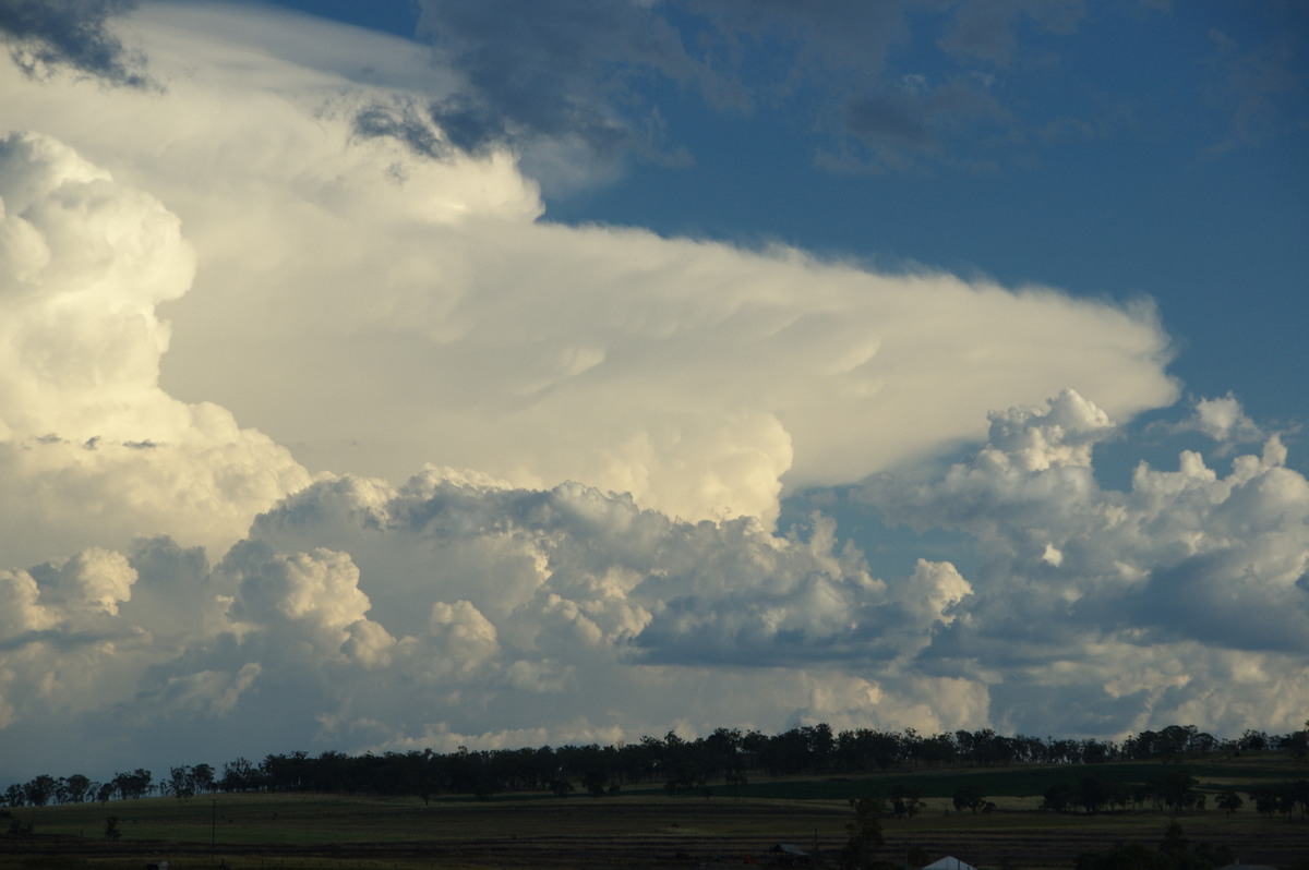 anvil thunderstorm_anvils : near Warwick, QLD   24 January 2009