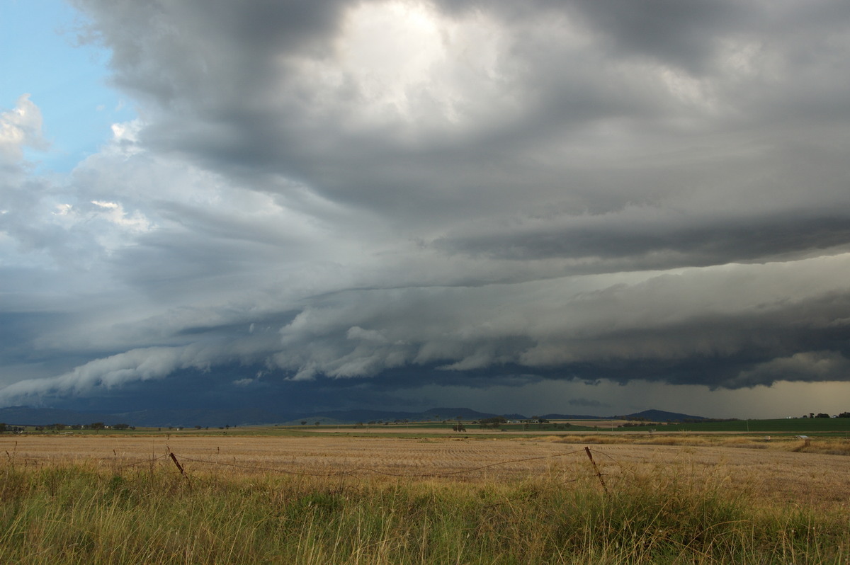 shelfcloud shelf_cloud : near Killarney, QLD   24 January 2009