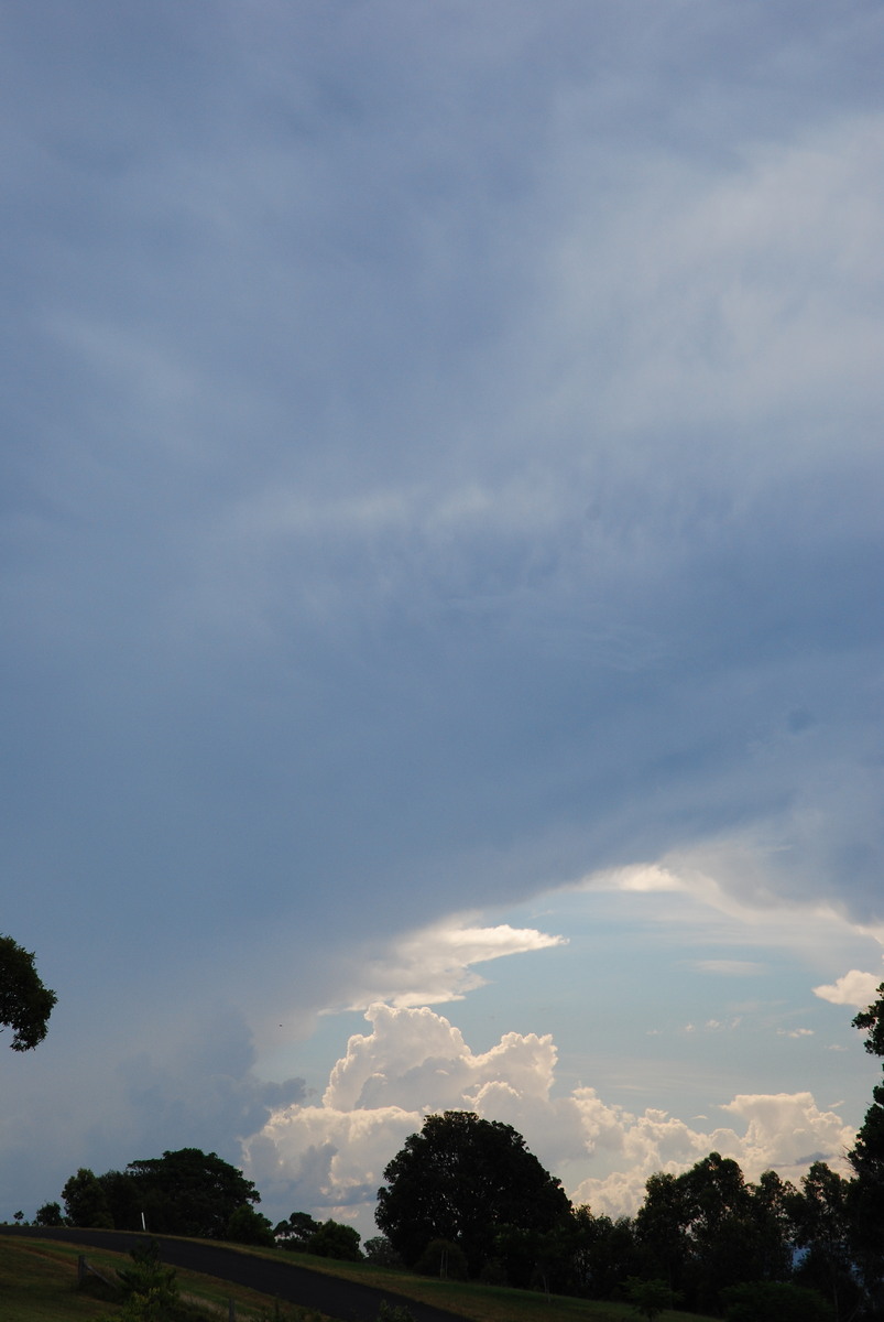 anvil thunderstorm_anvils : McLeans Ridges, NSW   24 January 2009