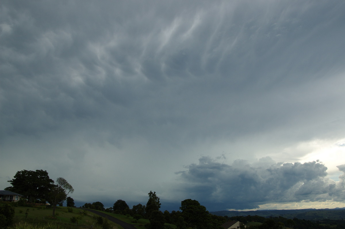 mammatus mammatus_cloud : McLeans Ridges, NSW   19 February 2009