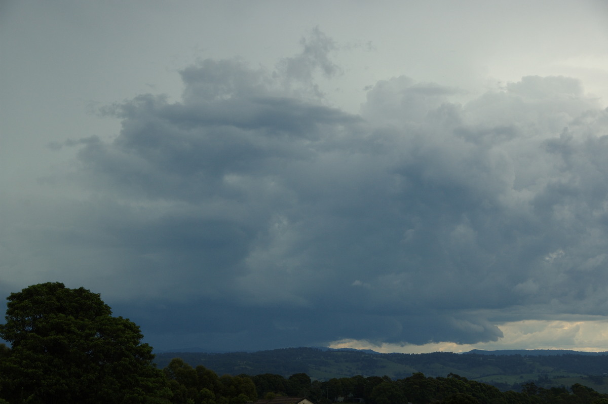 cumulonimbus thunderstorm_base : McLeans Ridges, NSW   19 February 2009