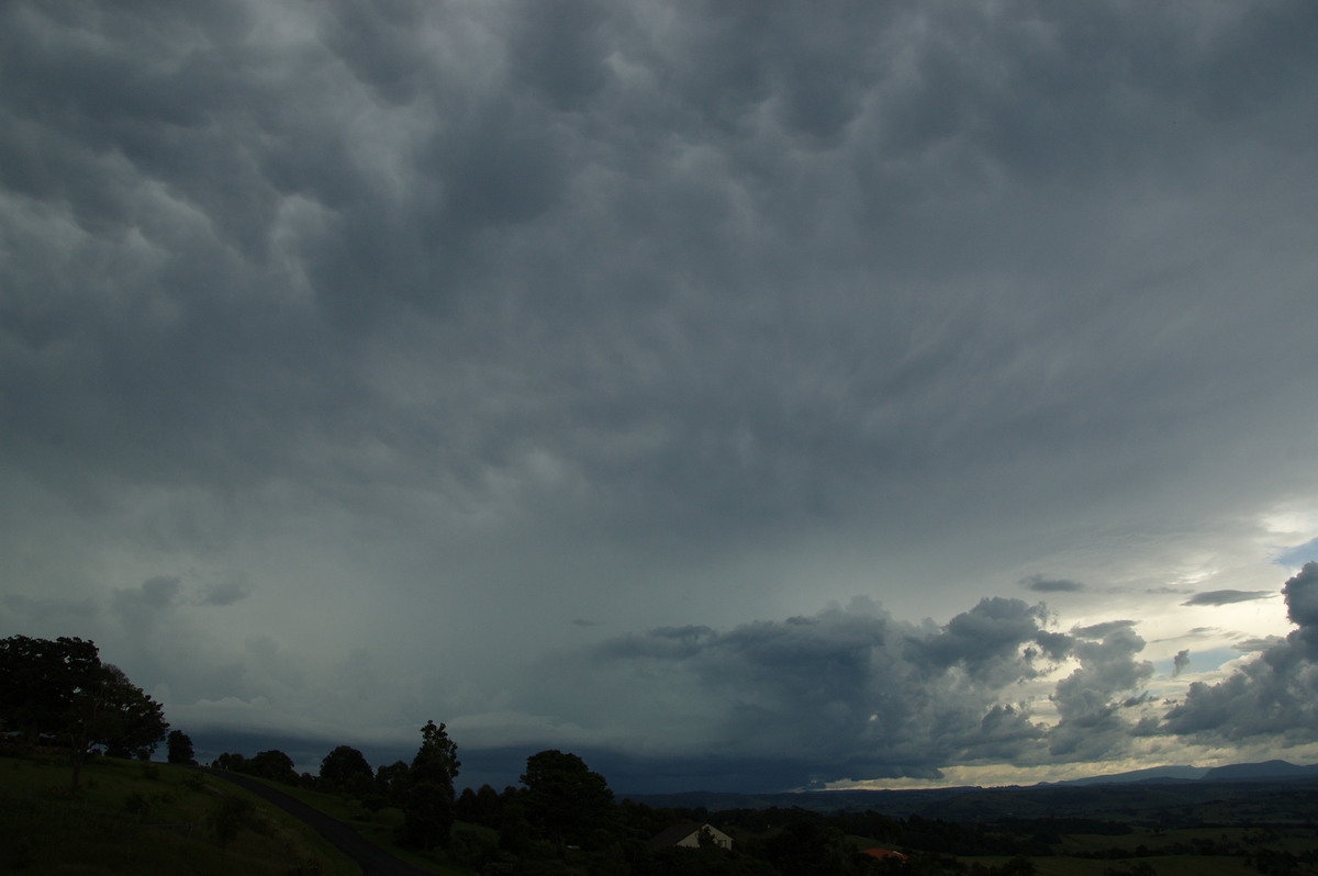 mammatus mammatus_cloud : McLeans Ridges, NSW   19 February 2009