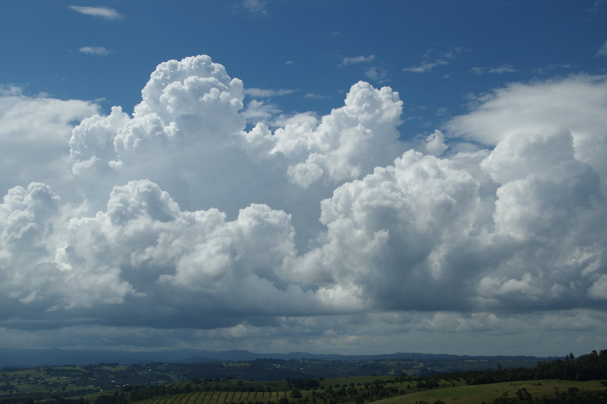 cumulus congestus : McLeans Ridges, NSW   22 February 2009