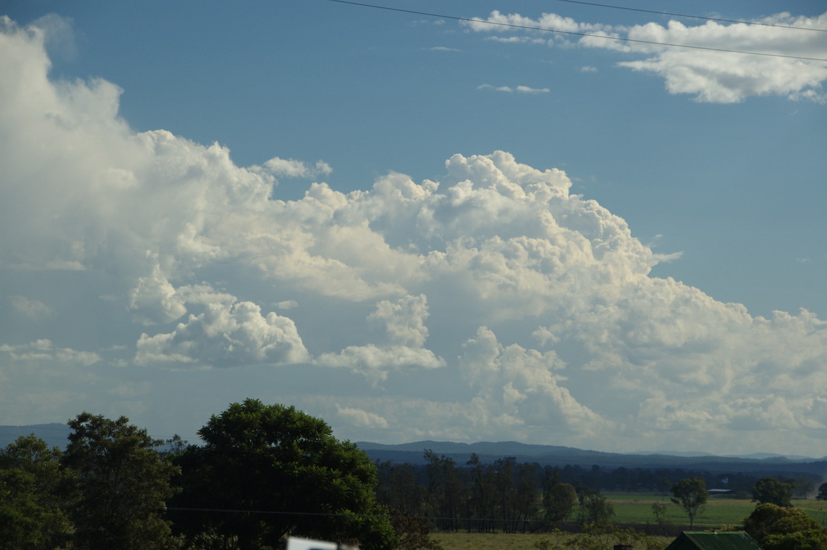 cumulus congestus : Spring Grove, NSW   15 March 2009