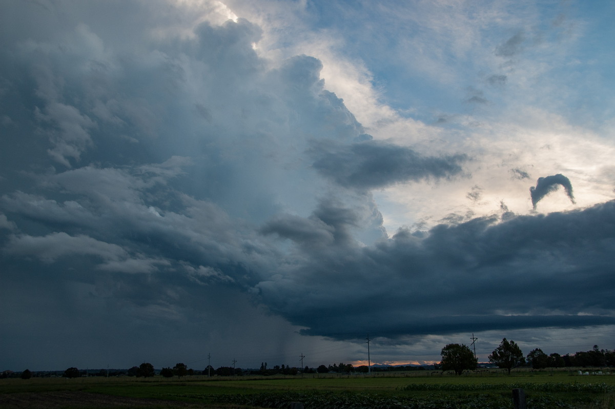 thunderstorm cumulonimbus_incus : Junction Hill, NSW   15 March 2009