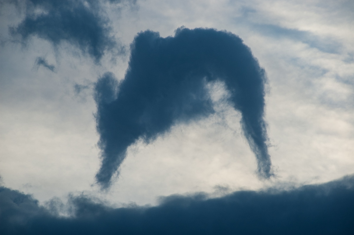 tornadoes funnel_tornado_waterspout : Junction Hill, NSW   15 March 2009