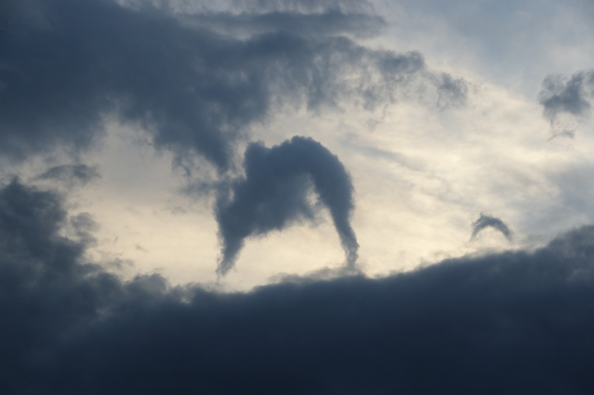 tornadoes funnel_tornado_waterspout : Junction Hill, NSW   15 March 2009