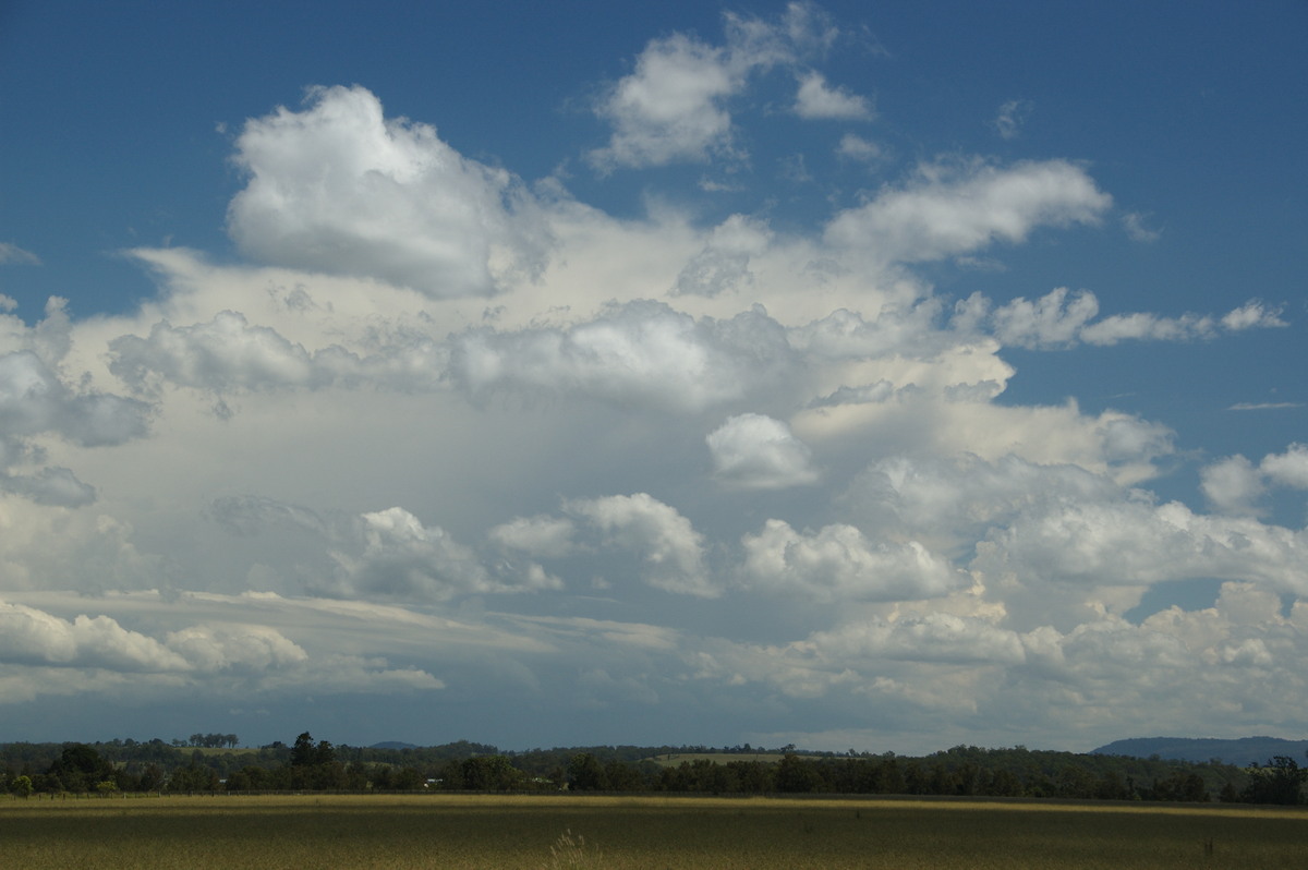 cumulus humilis : N of Casino, NSW   16 March 2009