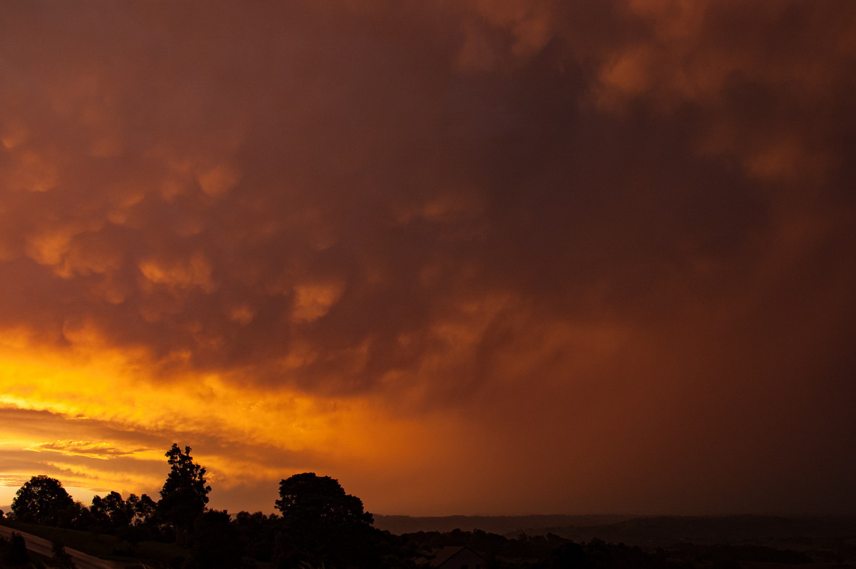 sunset sunset_pictures : McLeans Ridges, NSW   16 March 2009