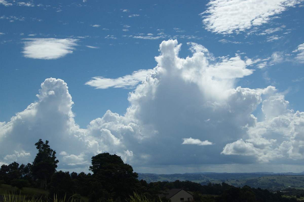 cumulus congestus : McLeans Ridges, NSW   20 March 2009