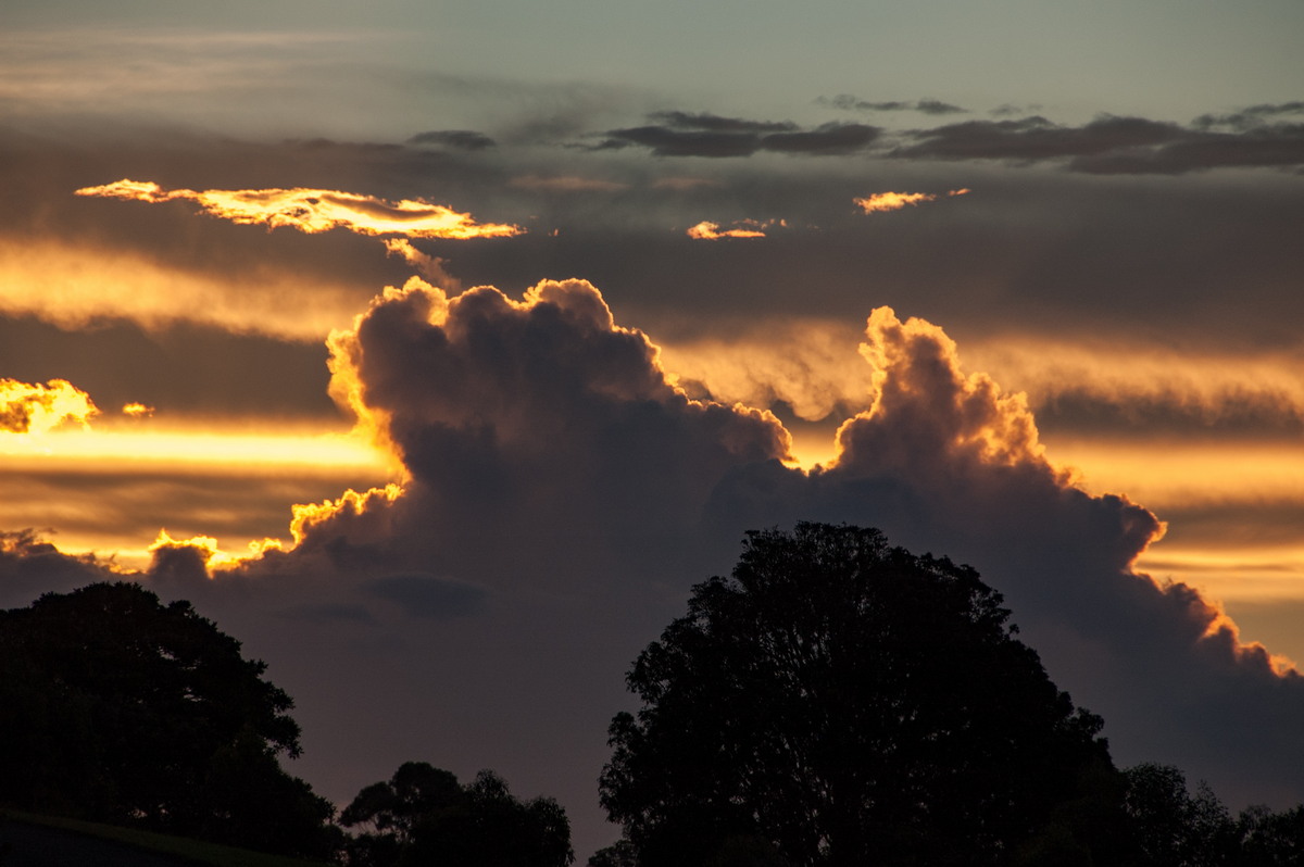 cumulus congestus : McLeans Ridges, NSW   14 April 2009