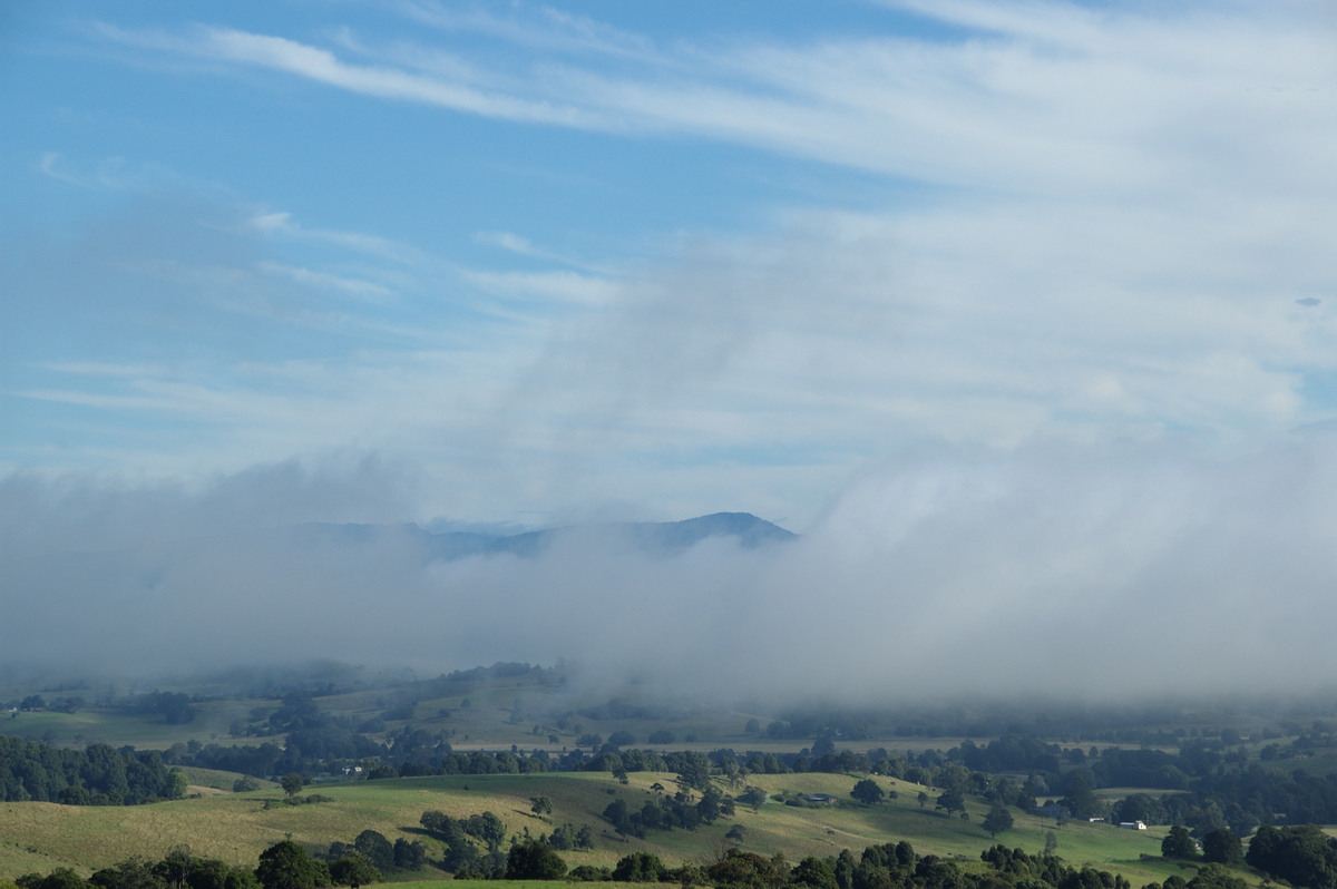 fogmist fog_mist_frost : McLeans Ridges, NSW   15 April 2009